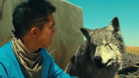 狼有在线观看,揭秘神秘狼族传奇  第1张