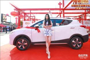 香车美女最新爆料,揭秘娱乐圈背后的秘密与真相