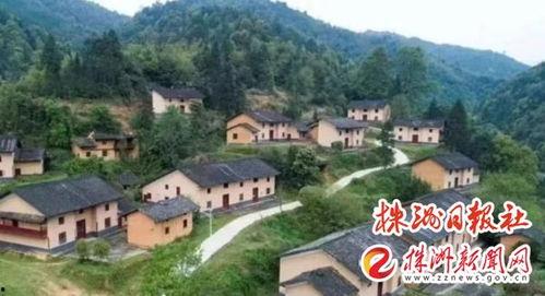 茶陵爆料最新消息新闻,最新突发新闻事件回顾 第1张 茶陵爆料最新消息新闻,最新突发新闻事件回顾 第1张